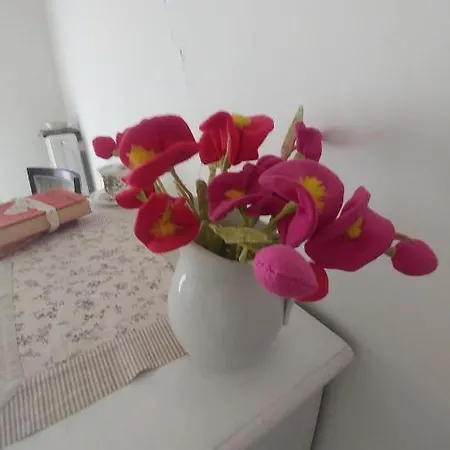 Binario 26 Feriehus *